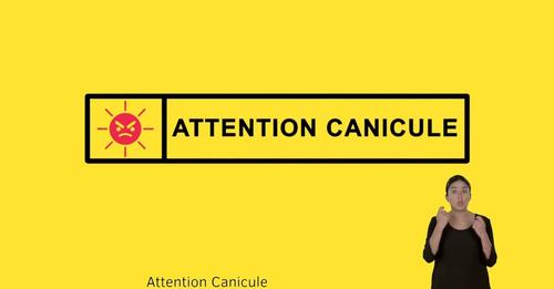 ATTENTION CANICULE!