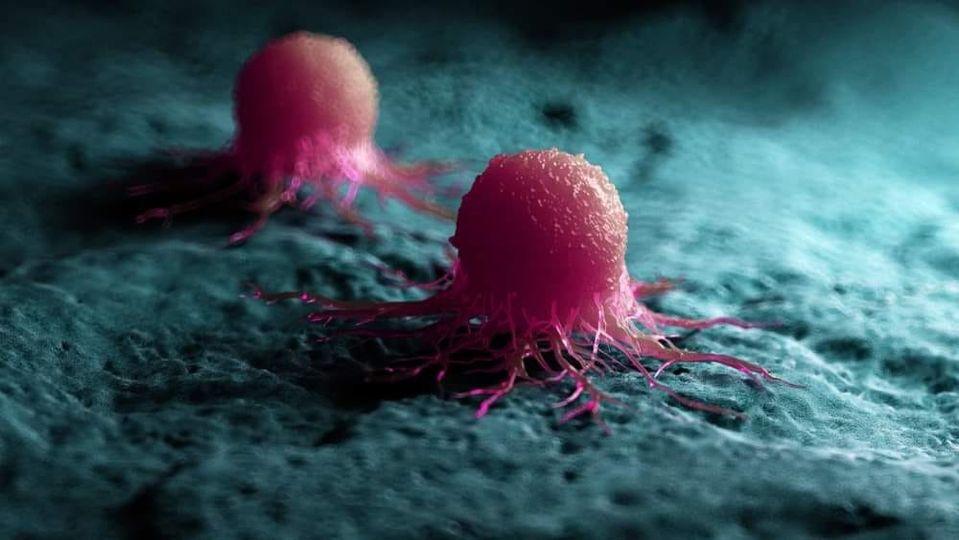 DES CELLULES TUMORALES TRANSFORMEES EN ARMES ANTI-CANCER