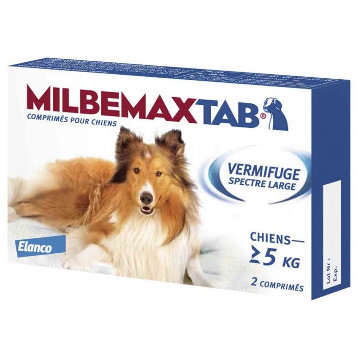 MILBEMAXTAB CHIENTS DE PLUS DE 5 KG